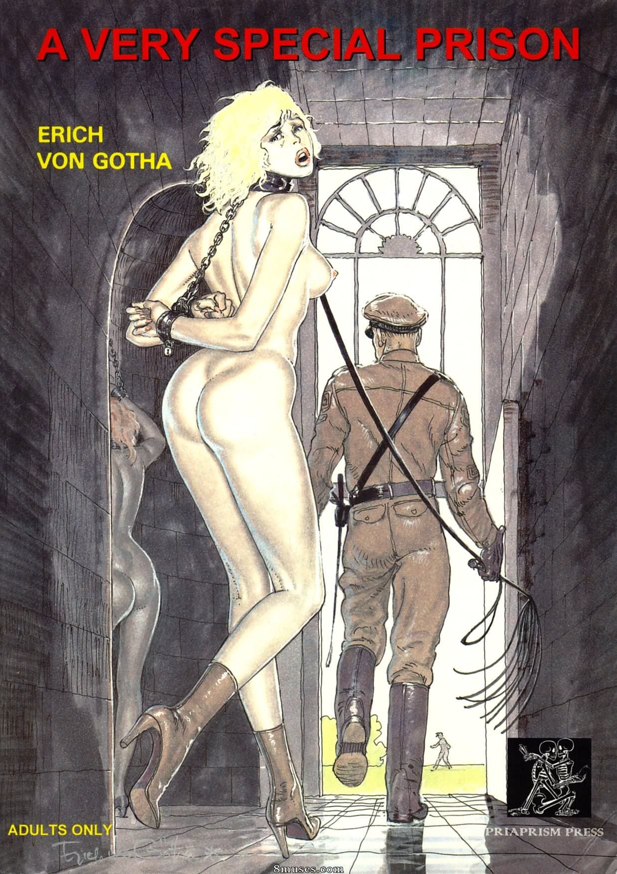A Very Special Prison cover