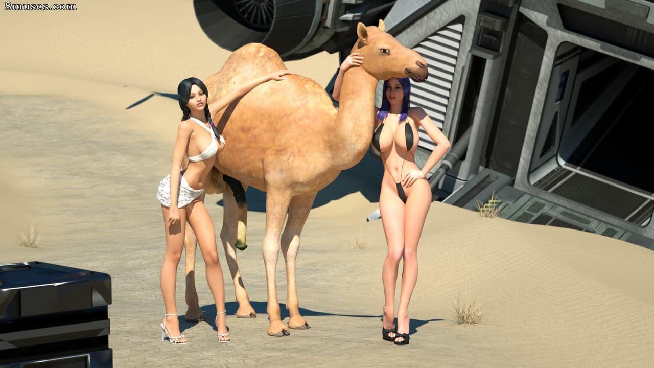 Camel Show cover