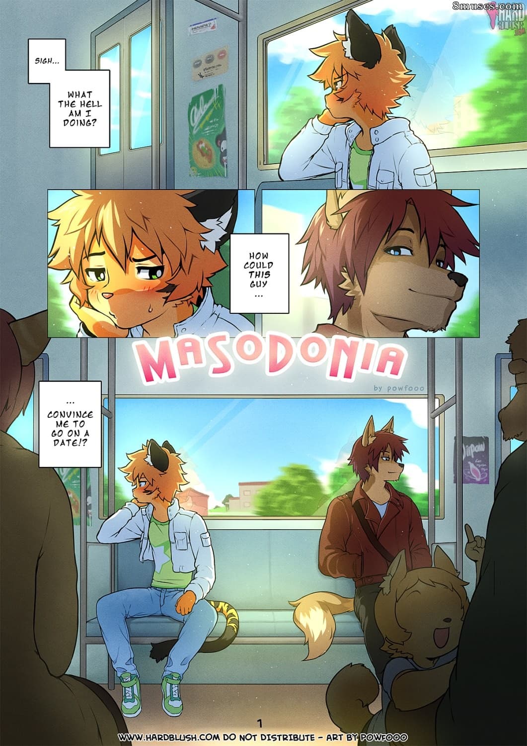 Masodonia cover