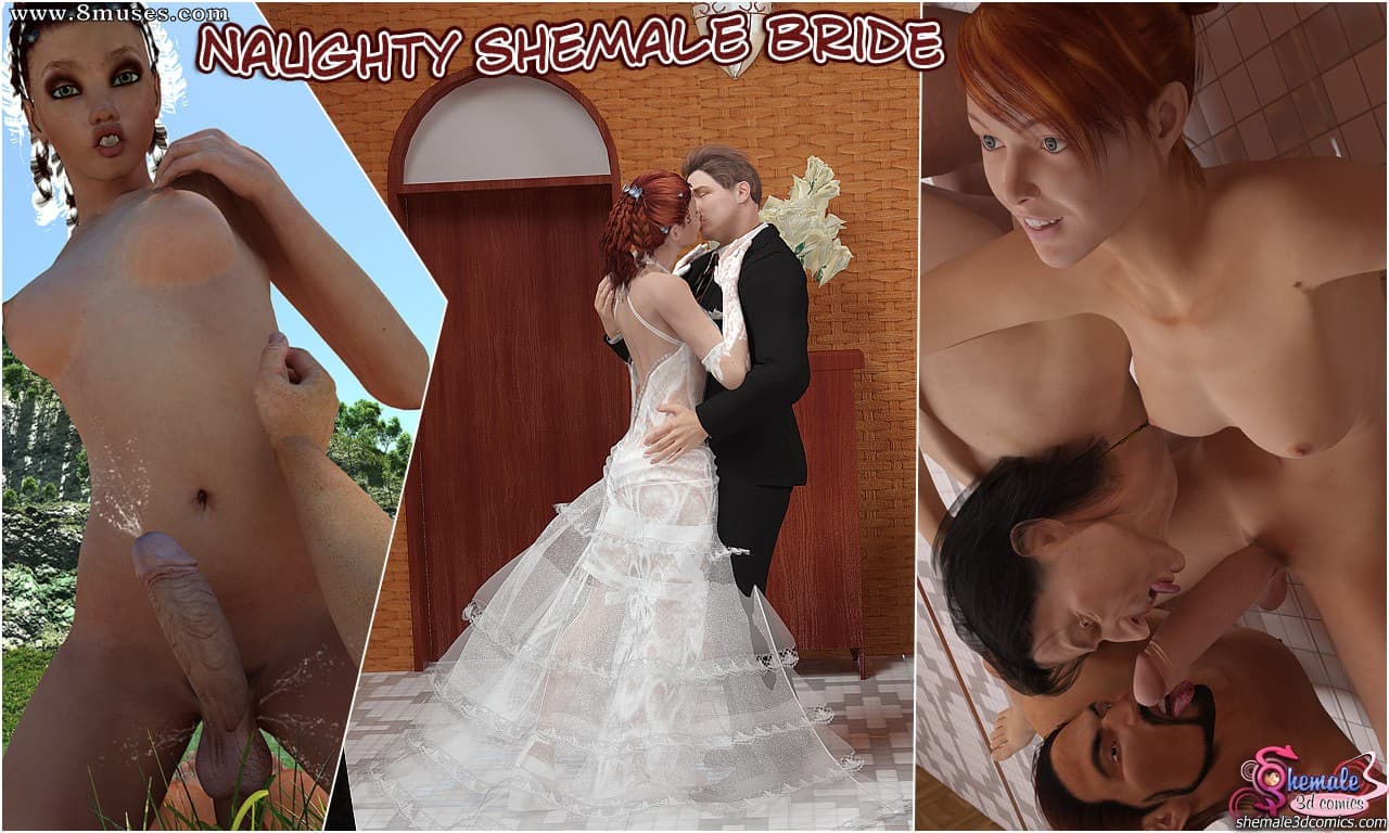 Naughty Shemale Bride cover