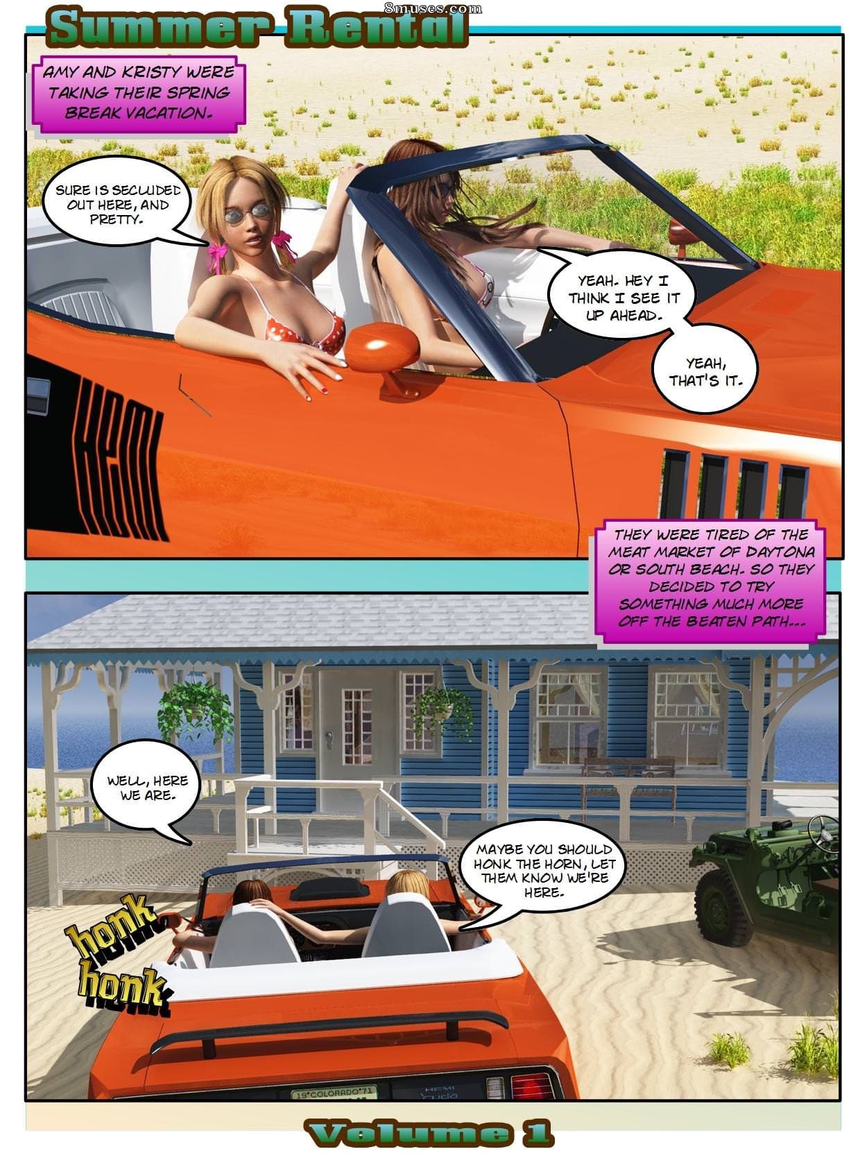 Summer Rental cover