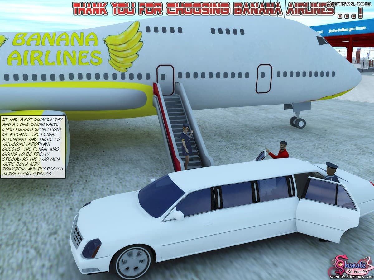 Thank you for choosing Banana Airlines cover