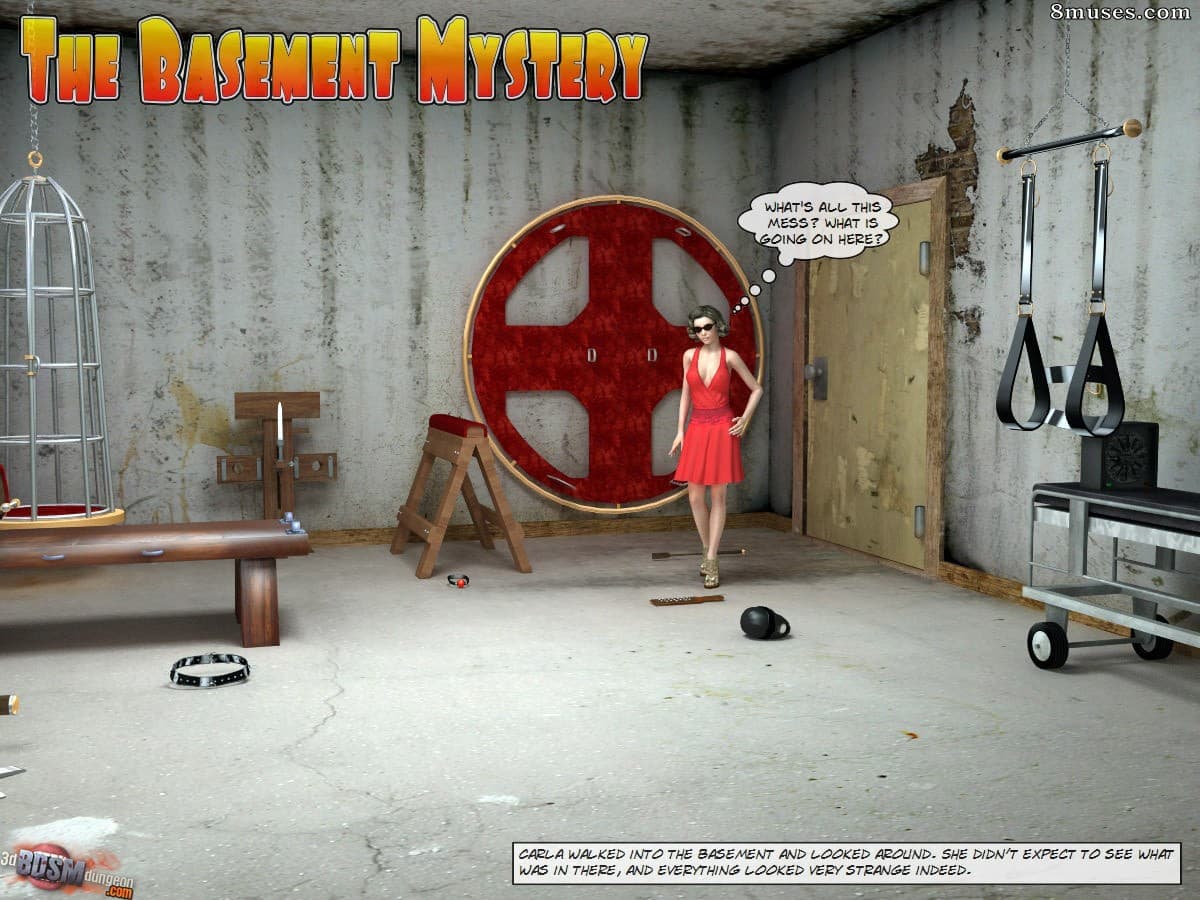 The Basement Mystery cover