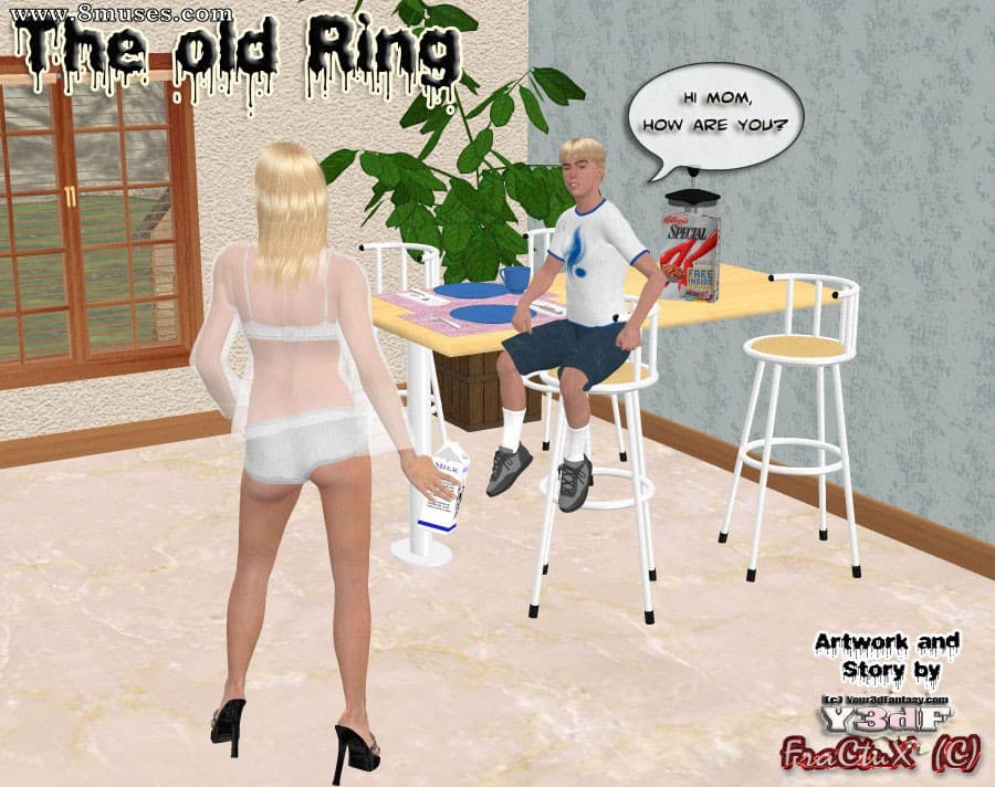 The old Ring cover