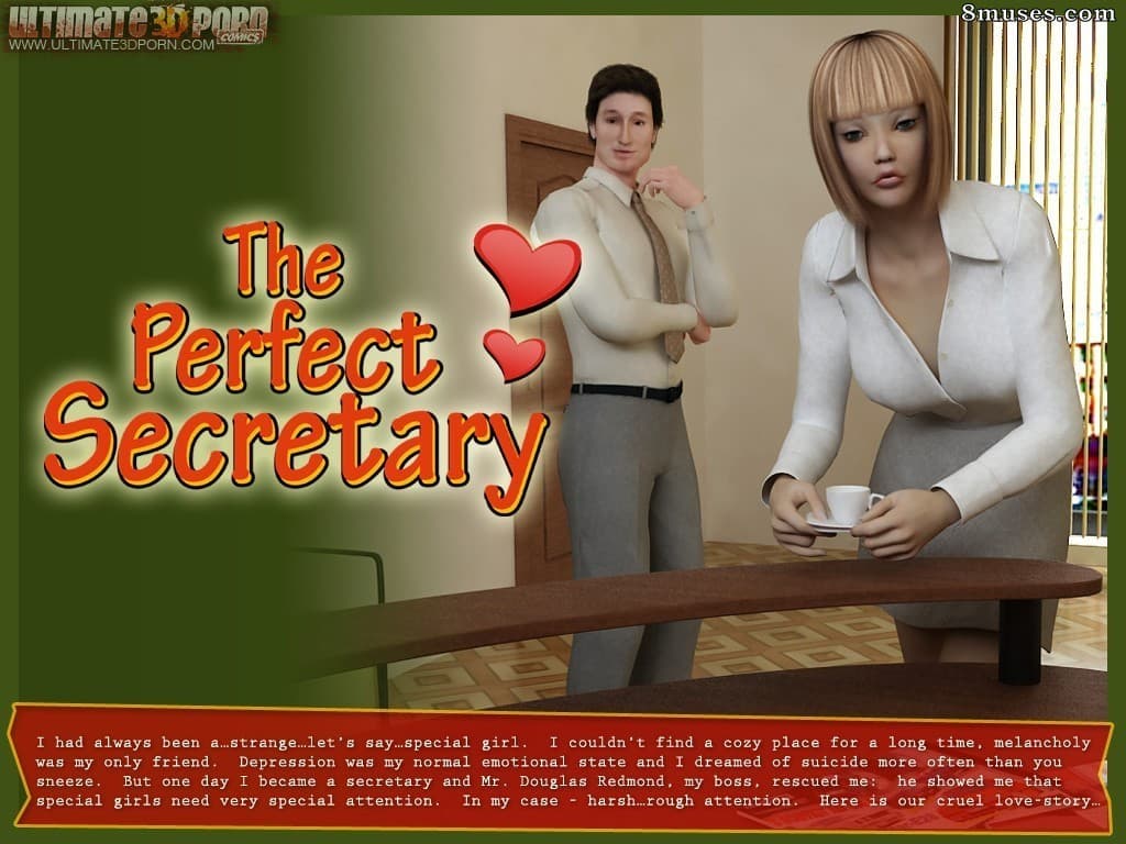 The Perfect Secretary cover