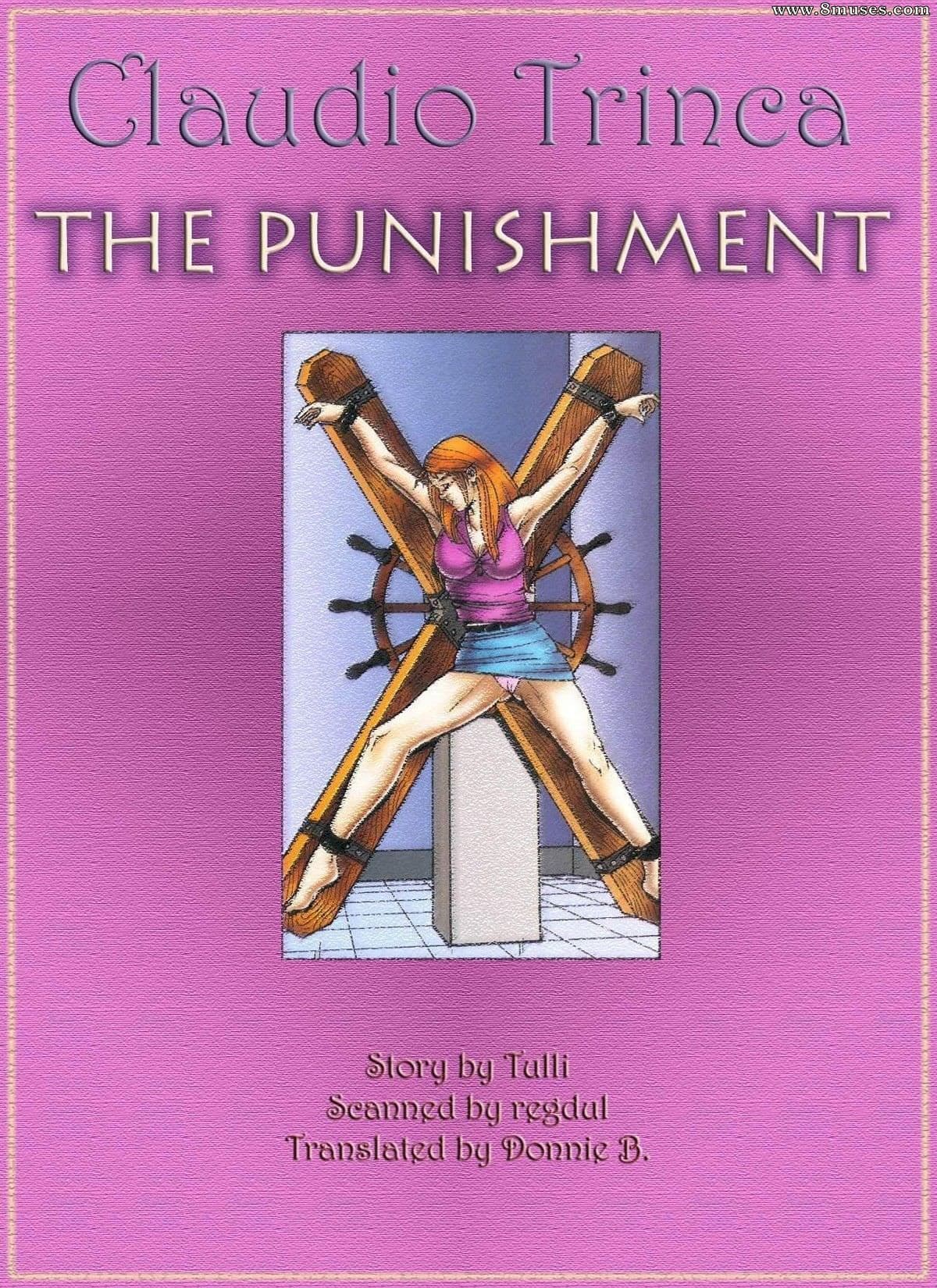 The Punishment cover