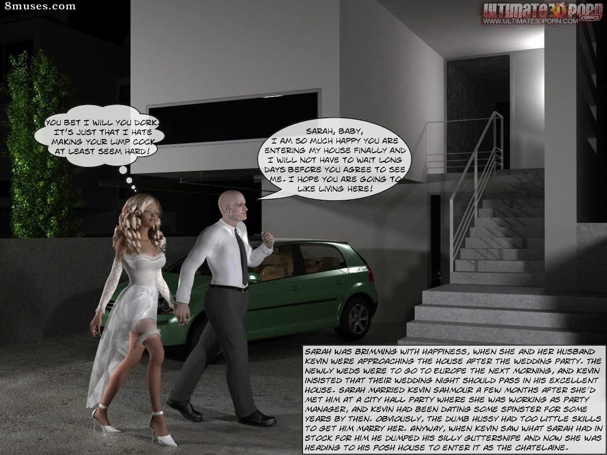 Wedding Night Surprise cover